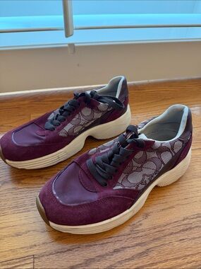 Coach sneaker